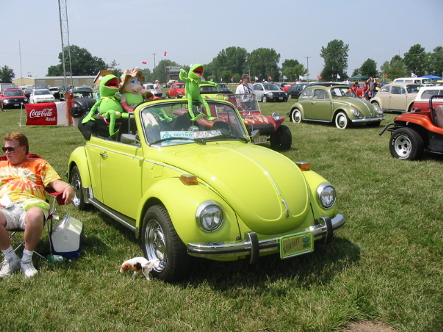 IMG_8464.JPG