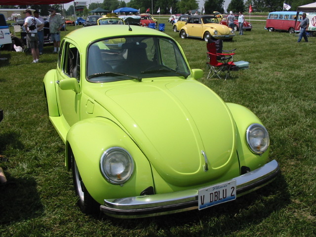 IMG_8481.JPG